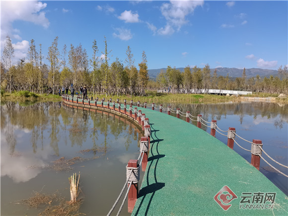 阳宗海明湖湿地恢复南岸自然生态系统 将现"明湖八景"