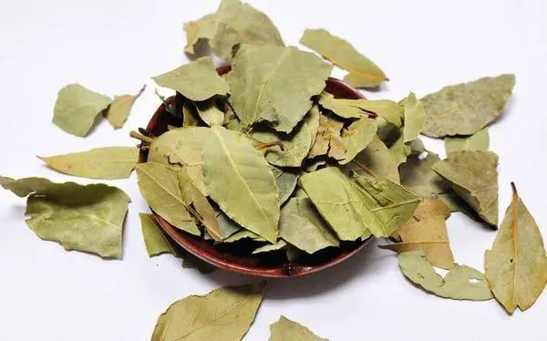 如何使用香叶,才能让香味完全发挥?多数人不懂,怪不得
