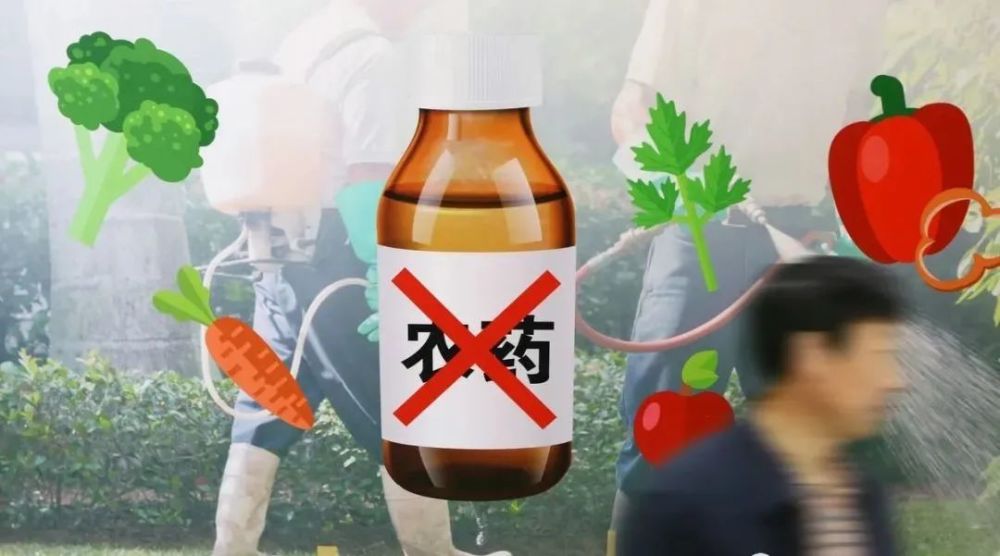 百草枯究竟有多可怕?喝下它,你将会清醒地看到自己死亡的全过程