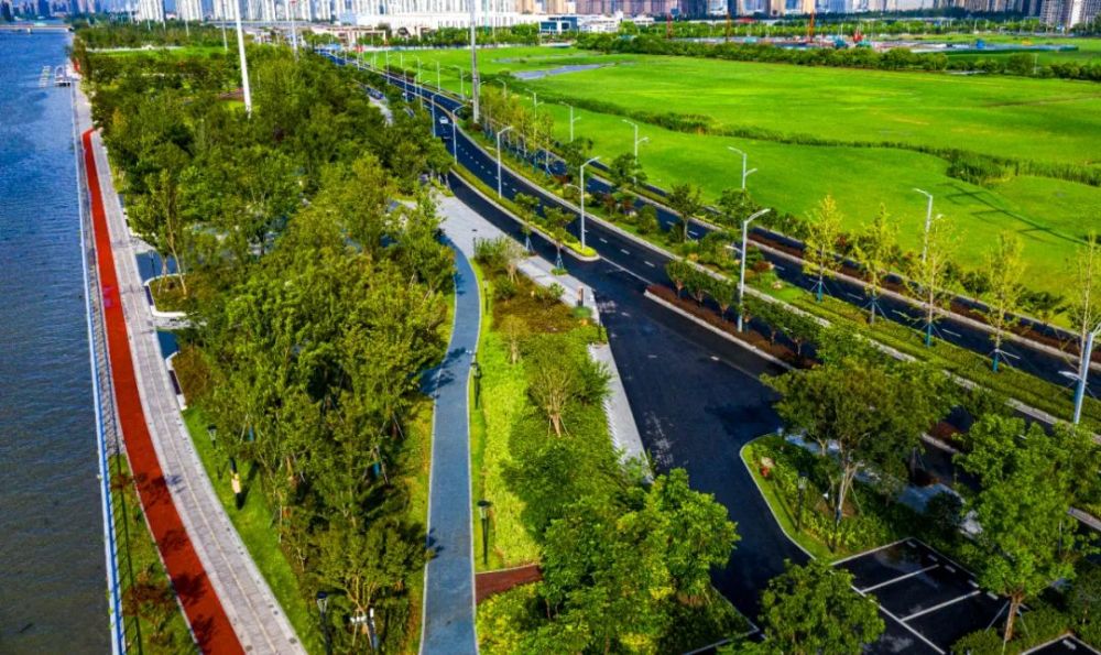 太仓这4条健身步道,美!