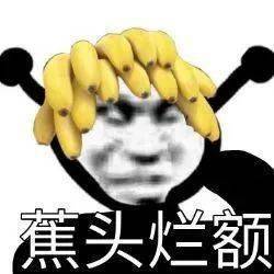表情包|沙雕熊猫头表情包