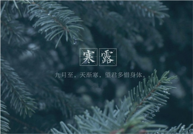 寒露节气将至