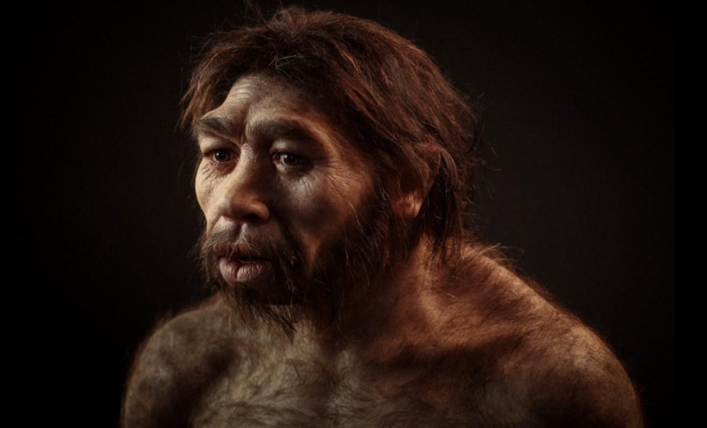河南发现的3万年前人骨或是我们祖先,70万年前北京猿人咋不是?