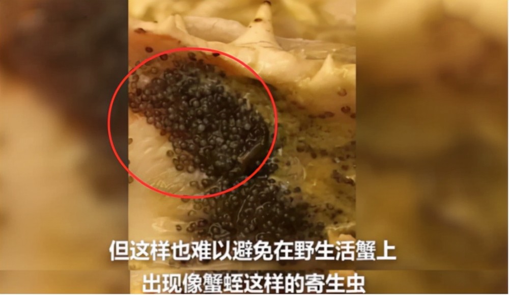 也不需要感到害怕,虽然看起来的确是有一点密集恐惧症,但是并不影响它