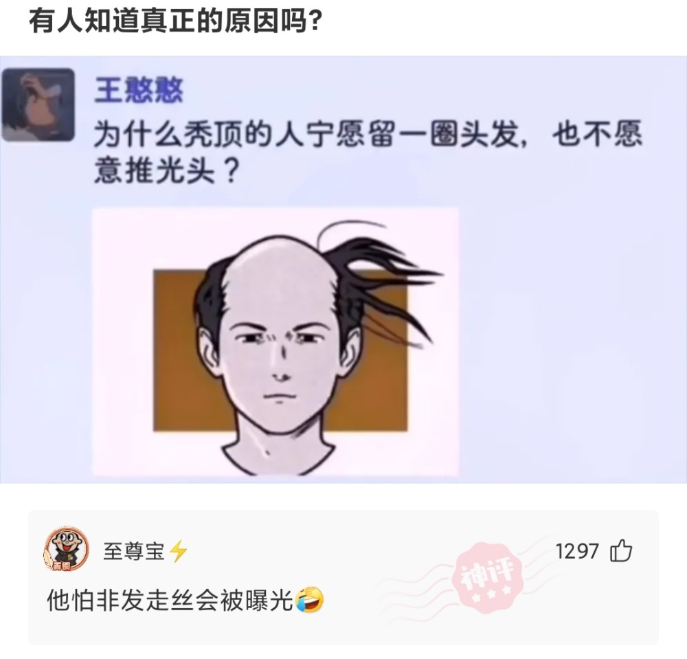 神回复为什么秃顶的人宁愿留一圈头发也不愿推光头