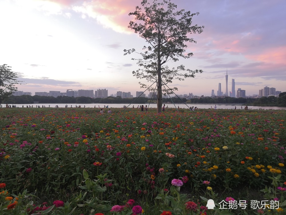 广州海珠湖风景