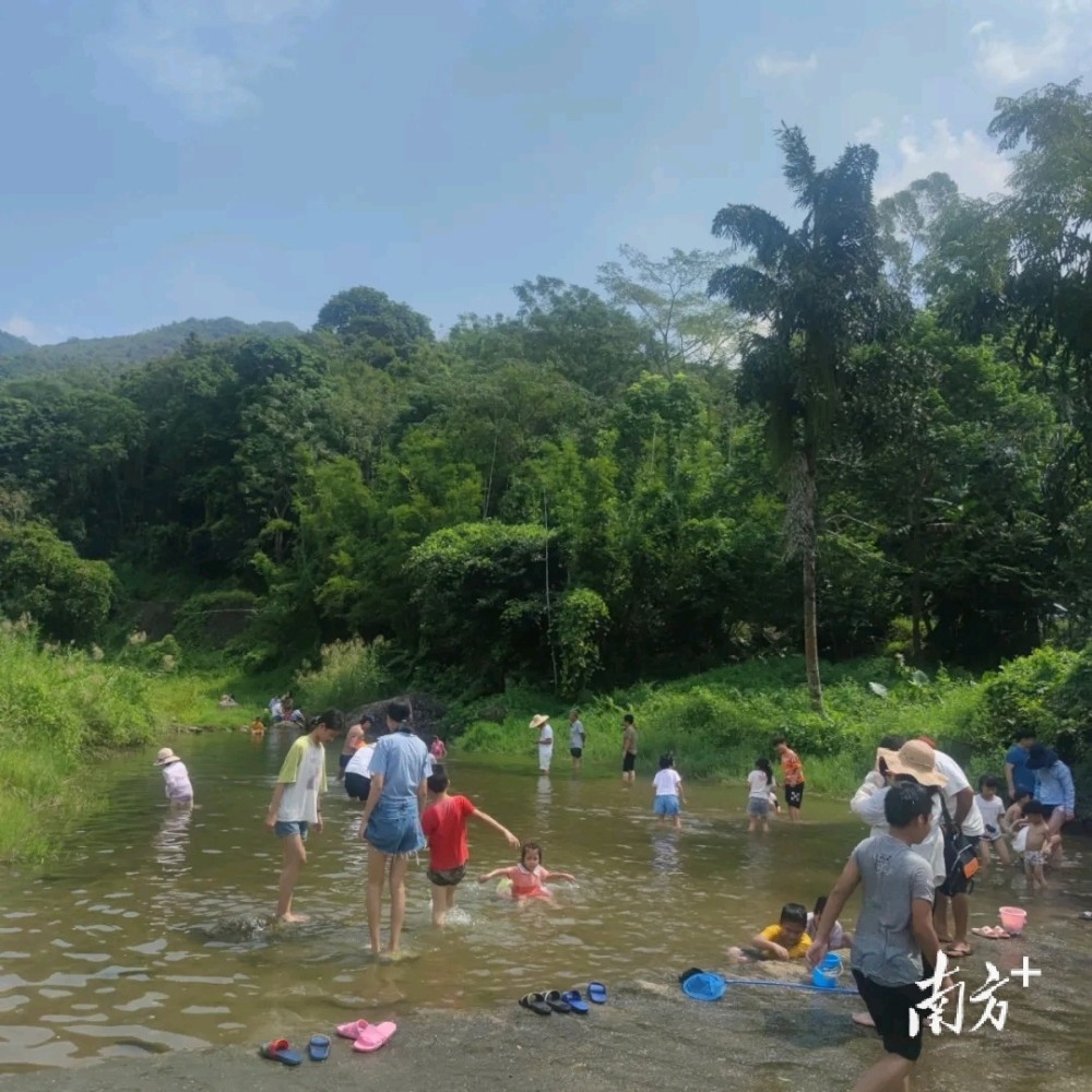 阳东区大八镇雨林河迎来旅游小高峰