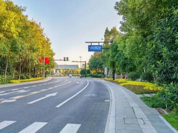 近日,杭州钱塘区钱塘中心周边道路绿化迎来华丽转变,景观效果,环境