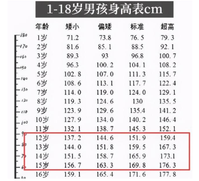 再看初中男生的身高,12岁时身高在151.