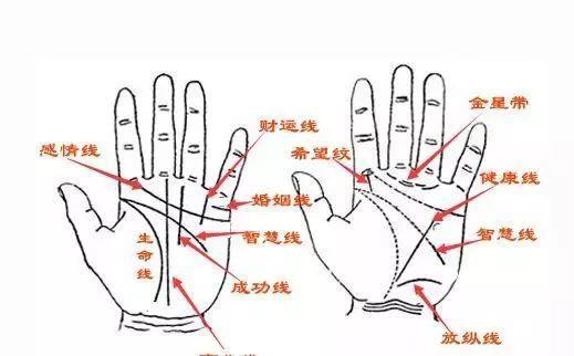 财运线:反映财运.