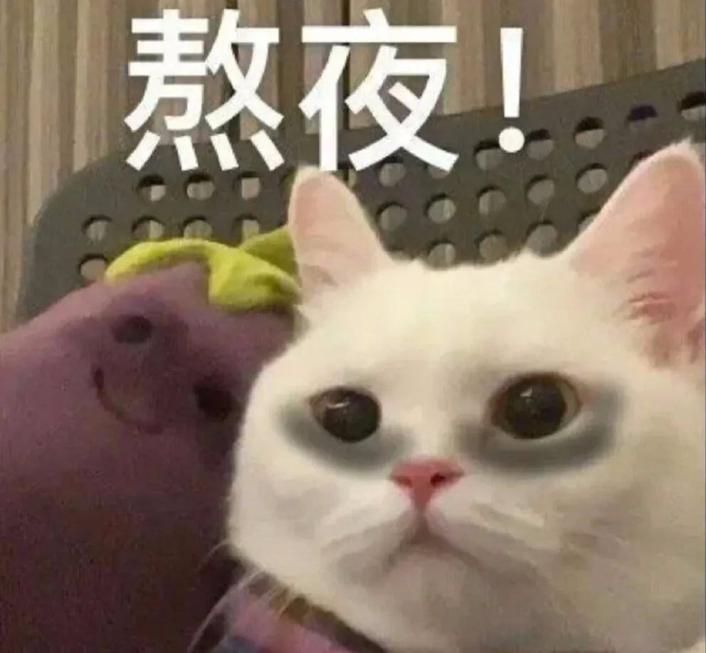 猫猫表情包|凑合过呗