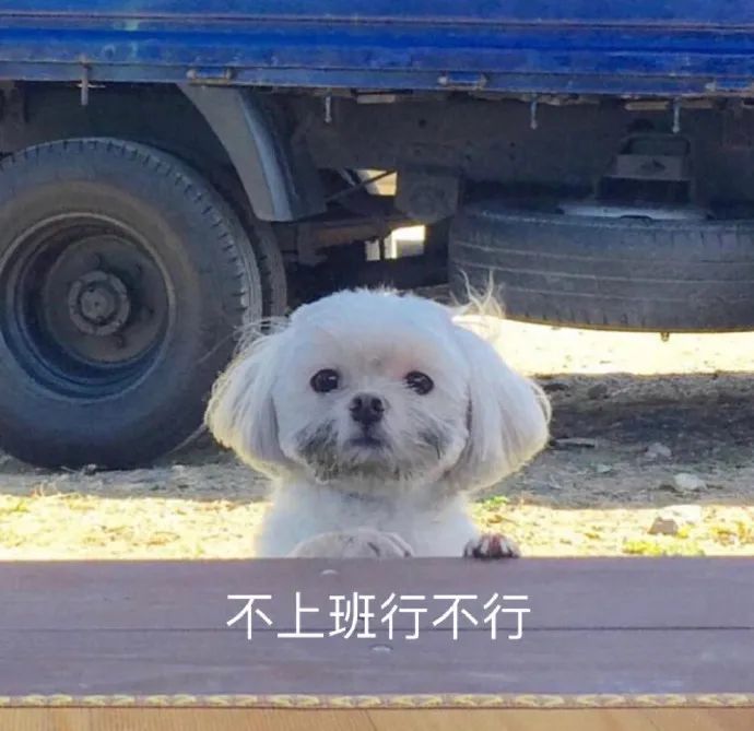 10.7表情包|假期余额已不足 明天又是搬砖人