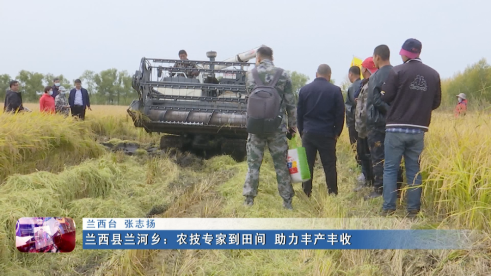 新闻联播▏兰西县兰河乡:农技专家到田间 助力丰产丰收