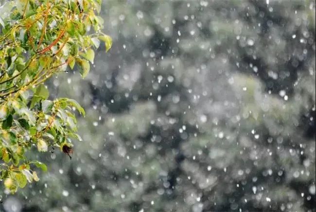 雨夹雪或小雪陕西省气象台发布重要天气报告最低气温或将降至零下2