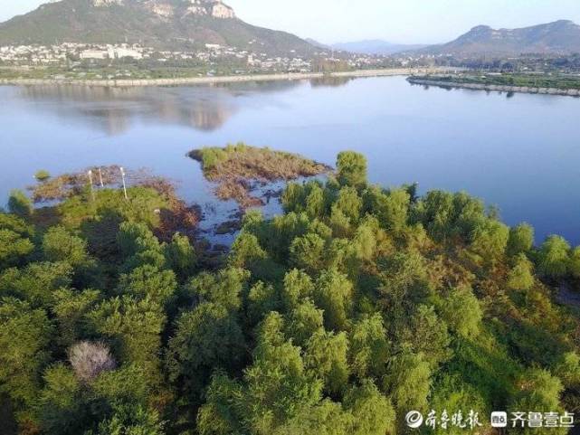 济南卧虎山水库水量大增,湖心小岛成水鸟天堂