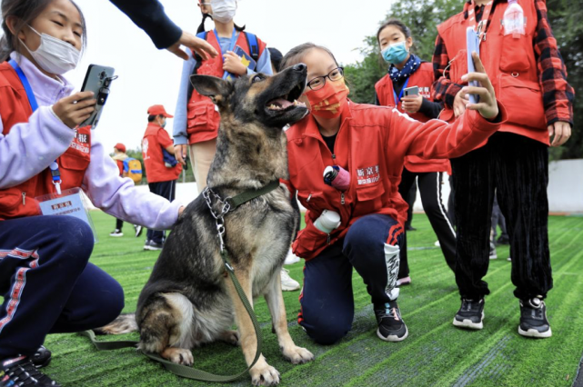 新京报小记者走进警犬训练基地 探秘"警犬是如何养成