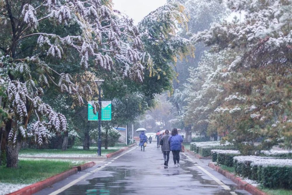 新疆师范大学:今秋初雪至,美景入画来