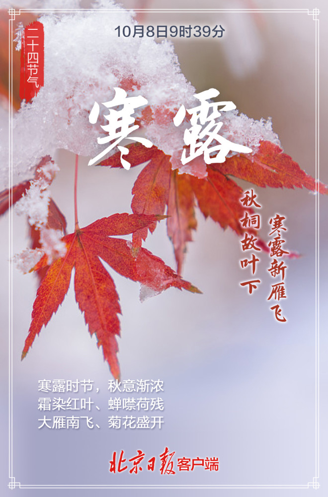 今日寒露|第一个带"寒"字的节气来了,凉风动,多添衣