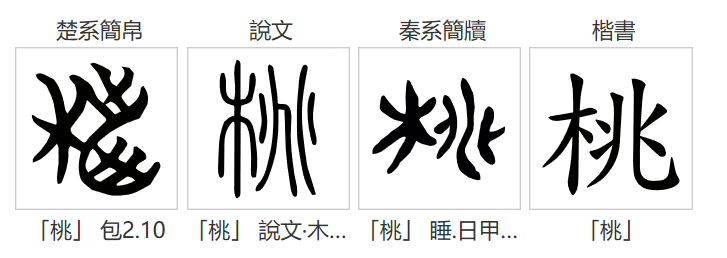 一天一个汉字—桃