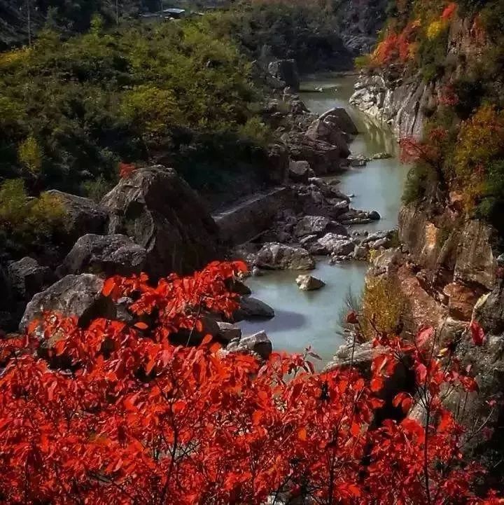 【陇南旅游】不到陇南,怎知天堂