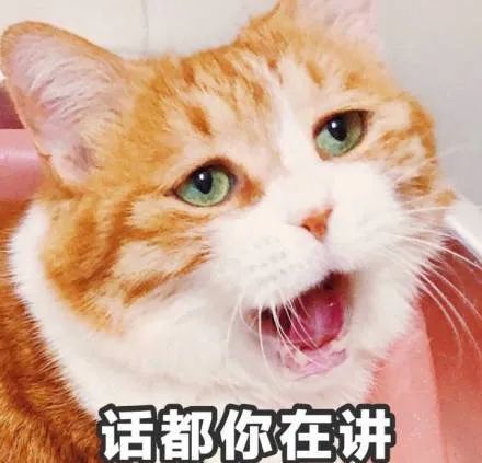 猫咪表情包星星眼你们是不是不要我了