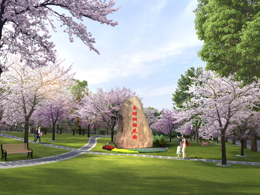 市区将建樱花主题公园,开放时间,地点在
