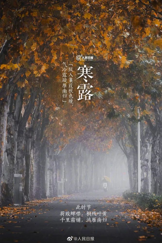 不露,今起可告别"露脚踝,翻出妈妈给准备的秋裤 来源:人民日报微博