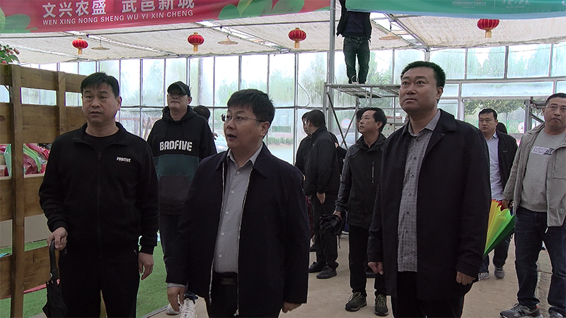 县委常委,宣传部长王伟,县委常委,组织部长张宗利和县直相关部门,乡镇
