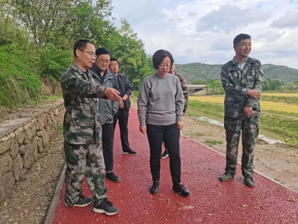 富县县委书记李彦侠检查指导防汛减灾工作