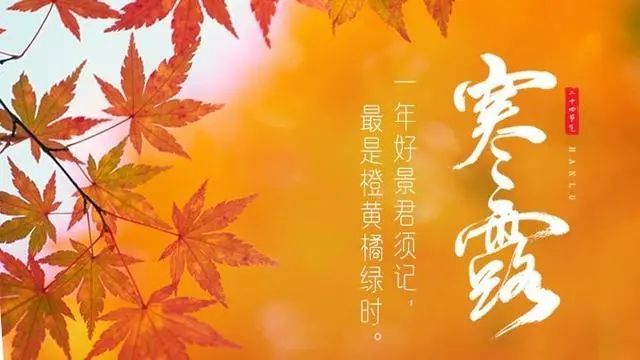 寒露的简谱_寒露简笔画(2)