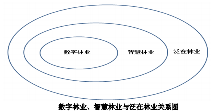 智慧林业关系分析