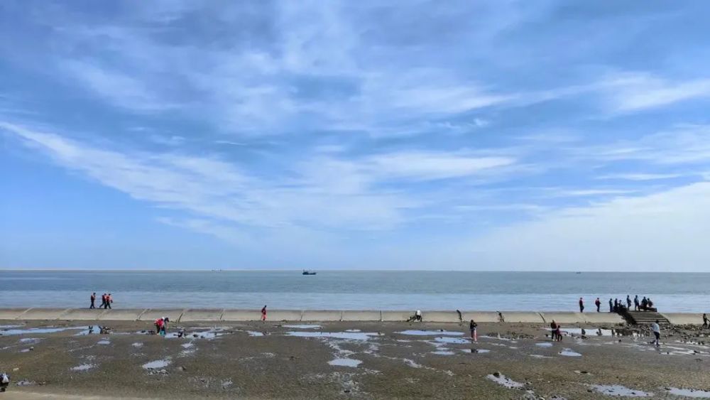 揪心天津海边上演惊险一幕在海边游玩一定要警惕这些危险