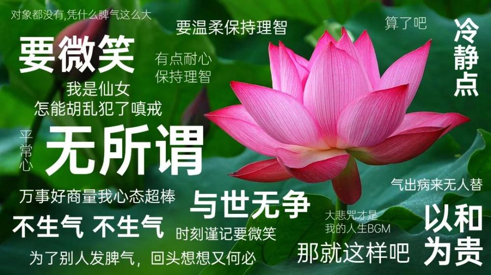 电脑壁纸算了吧万事好商量