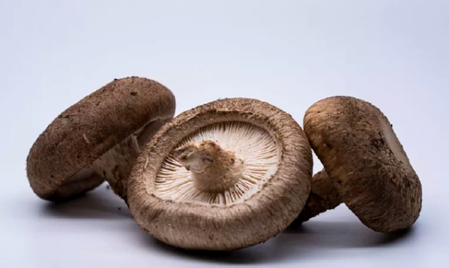 香菇的结构包括菌伞,菌柄,菌褶.