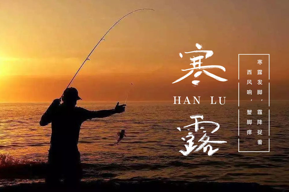 人们除了赏菊花还有吃螃蟹,钓鱼的习俗甚至有"秋钓边"的说法寒露前后