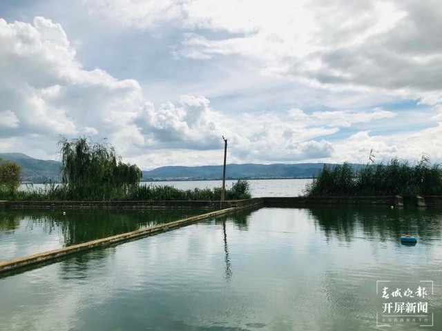 投资82.91亿元！云南印发九大高原湖泊入湖河道综合治理规划_腾讯新闻