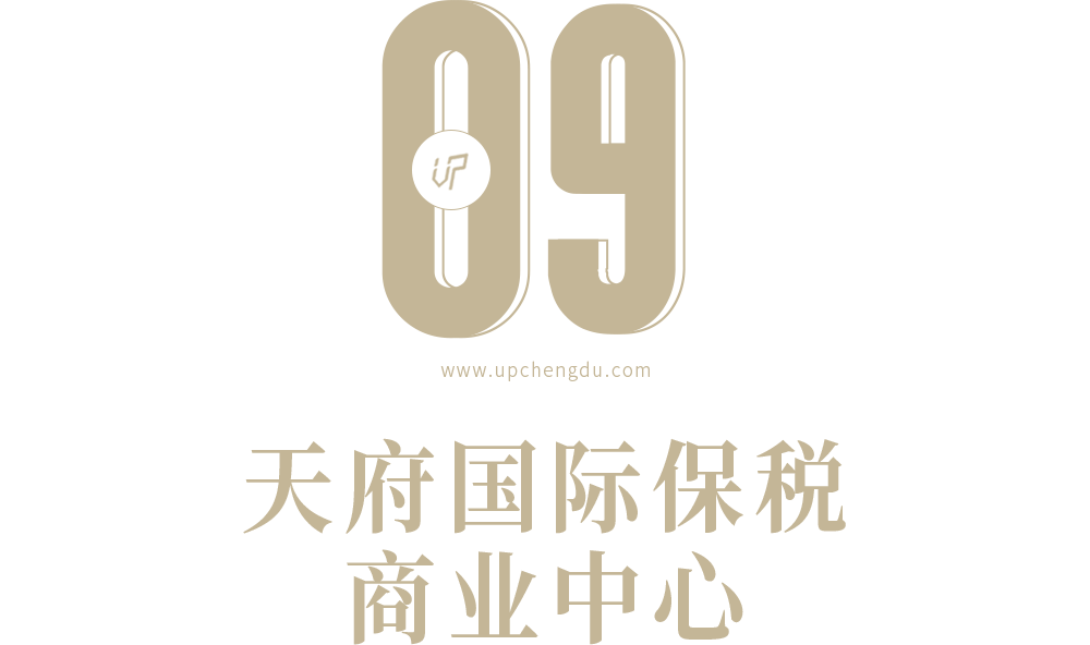 作为天府新区 " 四大工程 " 之一,天府国际保税商业中心(右侧的两栋楼