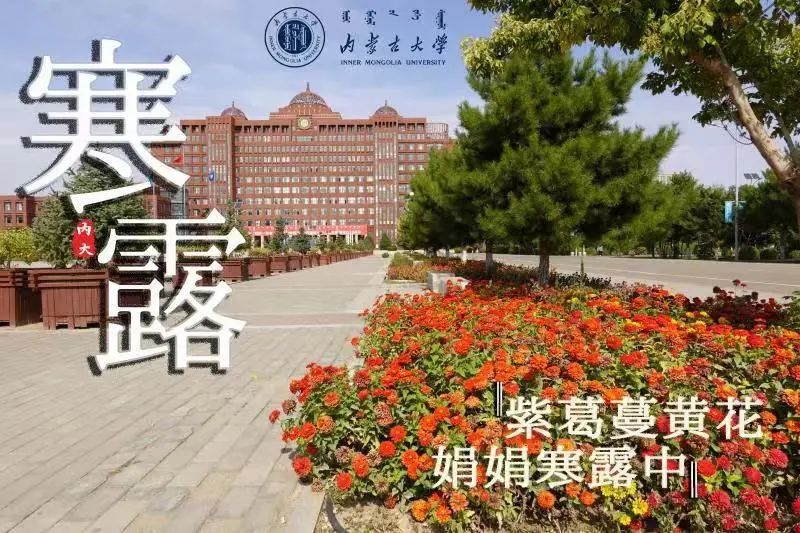 寒露| 天寒露重,望君珍重_腾讯新闻