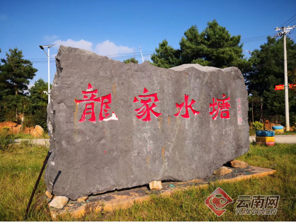 龙家水塘时下,走进陆良县活水乡龙家水塘,青山环抱,绿树掩映水泥路