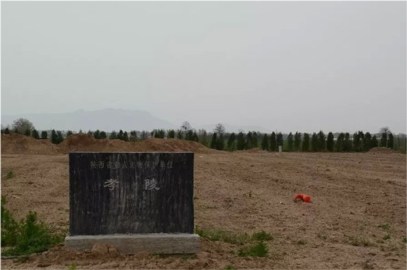 陕西村民浇地,意外发现北周帝陵,引发太后金印盗宝案