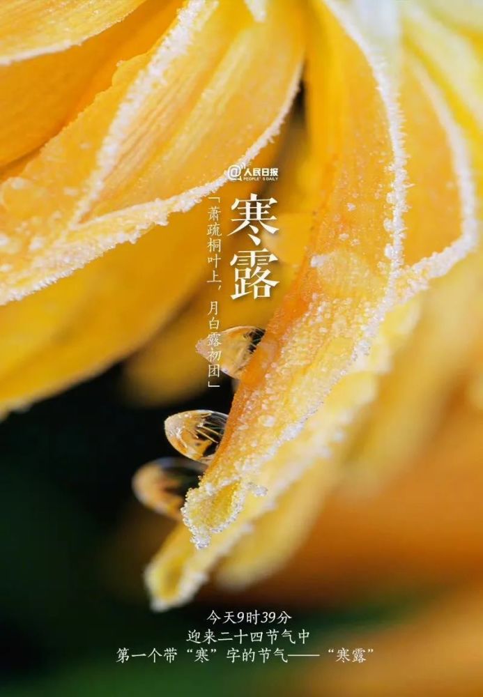 寒露|秋深露重,注意保暖!