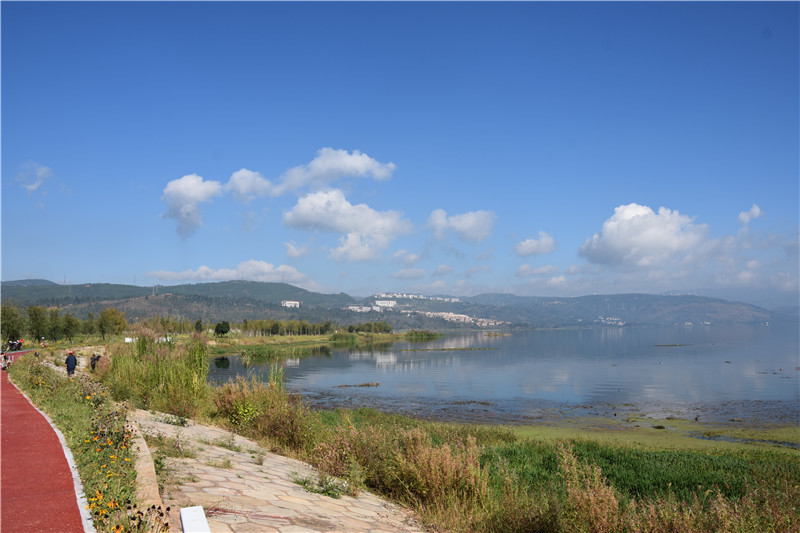 阳宗海明湖湿地用完善生态链条营造湿地生物多样性