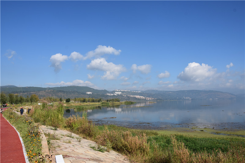 阳宗海明湖湿地:用完善生态链条营造湿地生物多样性