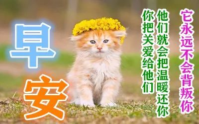 小雪早上好非常漂亮的动态祝福图片带字冬天暖心早安问候语简短