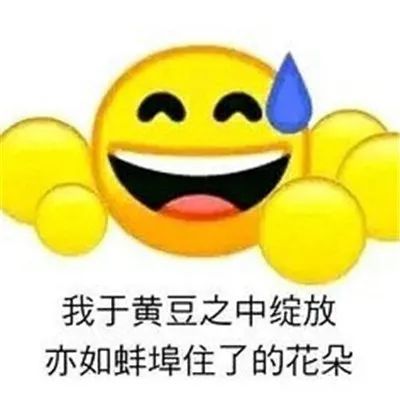 无语搞笑聊天表情包合集