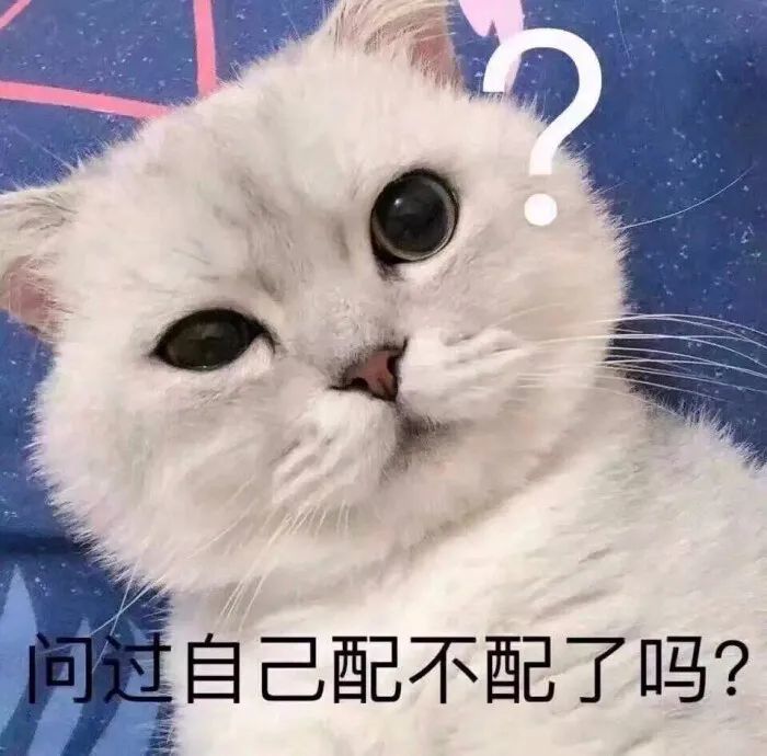 不看不知道这桌中年人承包了多少颜控的童年