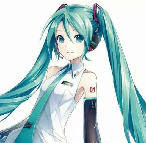 来自二次元的公主殿下,初音未来!