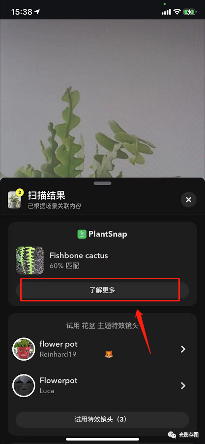 snapchat小技巧更新扫描功能可听歌识曲识别植物