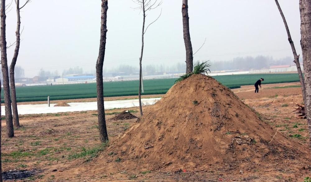 只是在殡葬新规之下,农村现在棺葬起坟头至少有九处地方不能进行墓葬