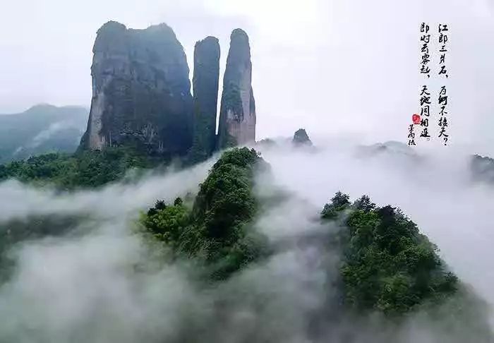 浙江的一个城市上百个旅游景点免费开放太给力了